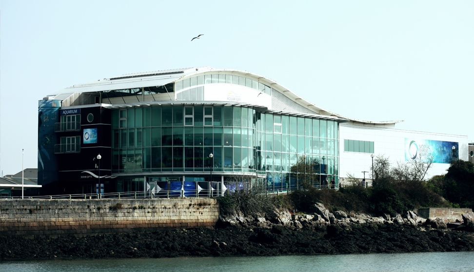 The National Marine Aquarium